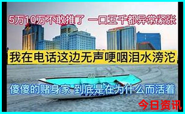 带娃出去旅游去哪里玩